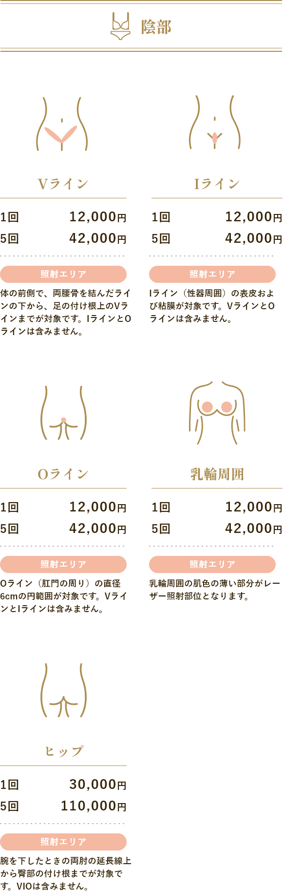 陰部メニュー価格