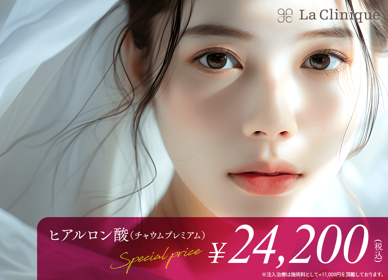 ヒアルロン酸チャウムプレミアム 24,200円